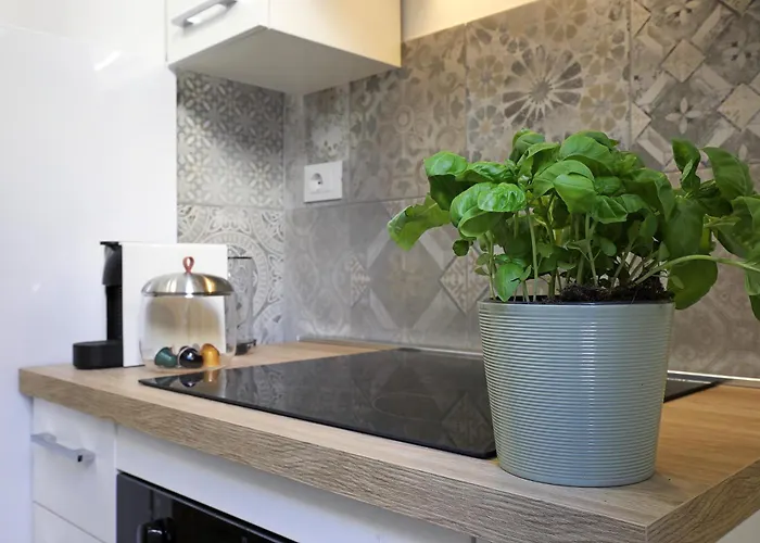 Bologna Garden House Daire Roma